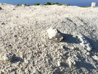 温州台风网官网，守护沿海安全的数字哨兵