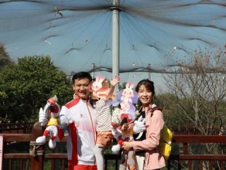 2025年新奥正版免费大全-西安天气预报7天查询，未来一周天气趋势与出行建议