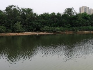 涟水天气预报，带你感知四季的温度与诗意