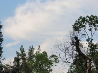 15天天气，在变幻中寻找生活的节奏