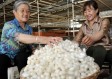 富县天气预报，气候密码下的生活指南