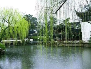 苏州一周天气展望，烟雨朦胧中，春日渐入佳境