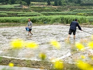 麻阳天气预报，一场与自然对话的日常仪式