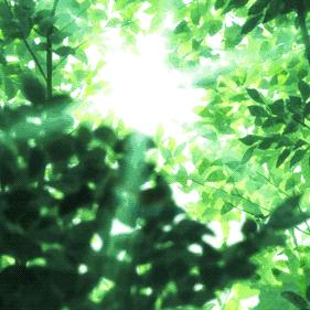 临平天气预报15天(临平天气预报15天当地天气查询表) 临平天气预报15天(临平天气预报15天当地天气查询表)