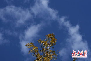 江西吉安未来15天天气预报，春意渐浓，注意天气变化