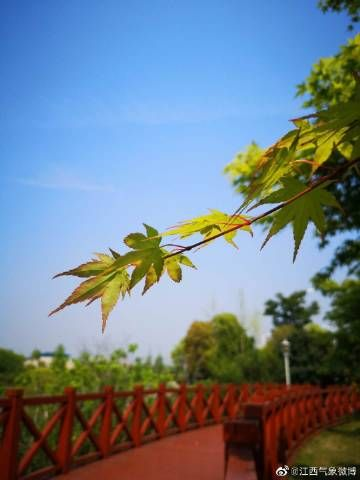 余干天气，四季轮转里的江南呼吸