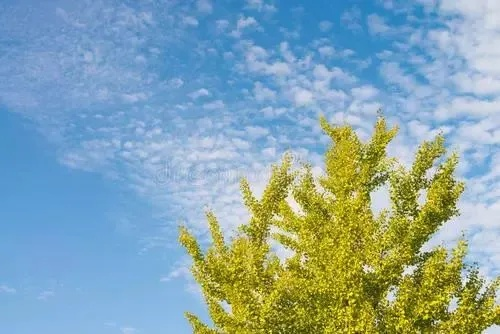 幸运快乐10分-郑州天气15天,从秋雨连绵到晴空万里的季节变奏曲 幸运快乐10分-郑州天气15天,从秋雨连绵到晴空万里的季节变奏曲