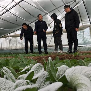 寒潮来袭!最新天气预报发布,全国多地气温骤降,部分地区将迎暴雪 寒潮来袭!最新天气预报发布,全国多地气温骤降,部分地区将迎暴雪