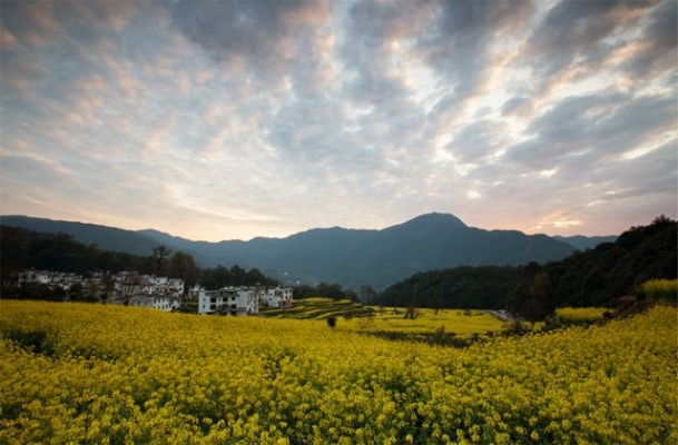 婺源天气预报,一场与天气的温柔对话 婺源天气预报,一场与天气的温柔对话