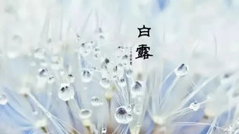 今日北京,晴空之下,冷暖自知 今日北京,晴空之下,冷暖自知