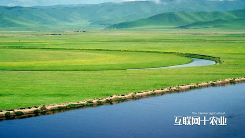 张北天气预报，草原风云的守望者
