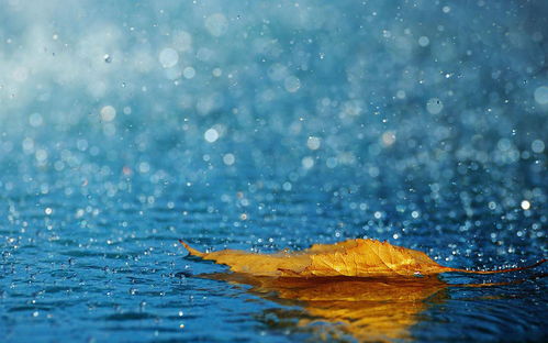 吉首天气预报,雨雾中的边城,冷暖自知的烟火人间 吉首天气预报,雨雾中的边城,冷暖自知的烟火人间