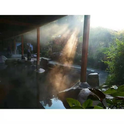 一周天气早知道，让生活安排更从容