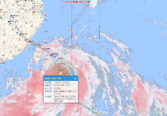 台风最新动态，路径调整、强度升级，多地启动应急响应
