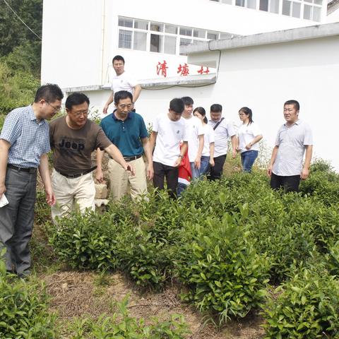 河南今后15天最新天气，冷热交替频繁，需注意防寒与出行安全
