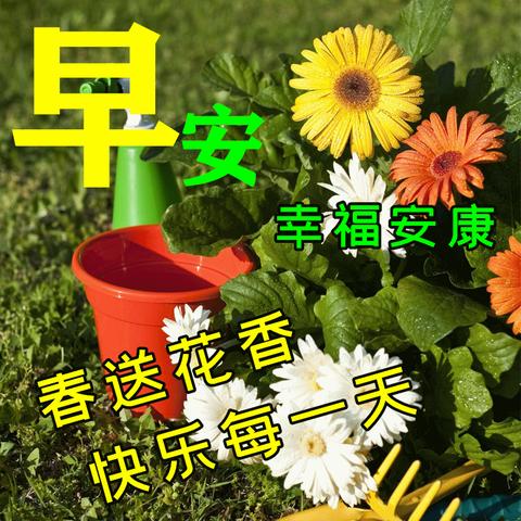 从天气预报到天气网，我们如何一步步读懂天空的表情包