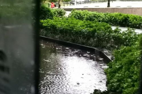 在监利的雨里，我听见时光落地的声音