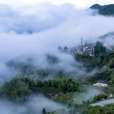 松阳的雨，藏在天气预报里