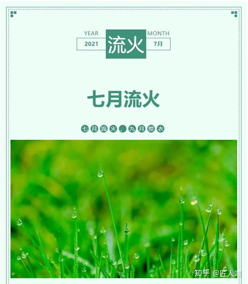 七月流火，30天天气预报里的盛夏密码