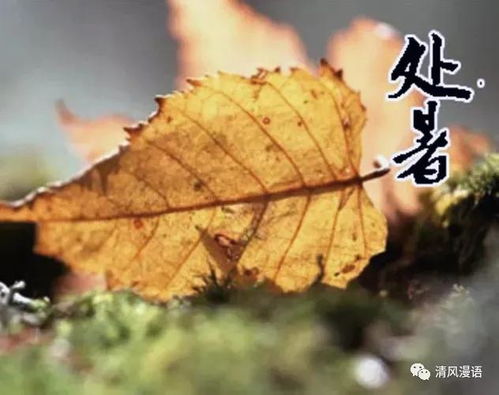 九月天象，从夏末余温到秋意渐浓—全国9月1日至30日天气预报综述